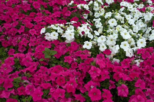 Trouver le bon fournisseur textile avec domotex