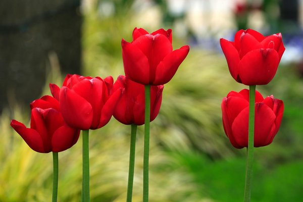 Pourquoi opter pour des meubles à motif cannelé ?
