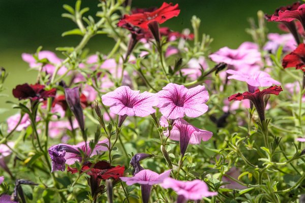 Bricolemag, le magazine bricolage à consulter pour des conseils